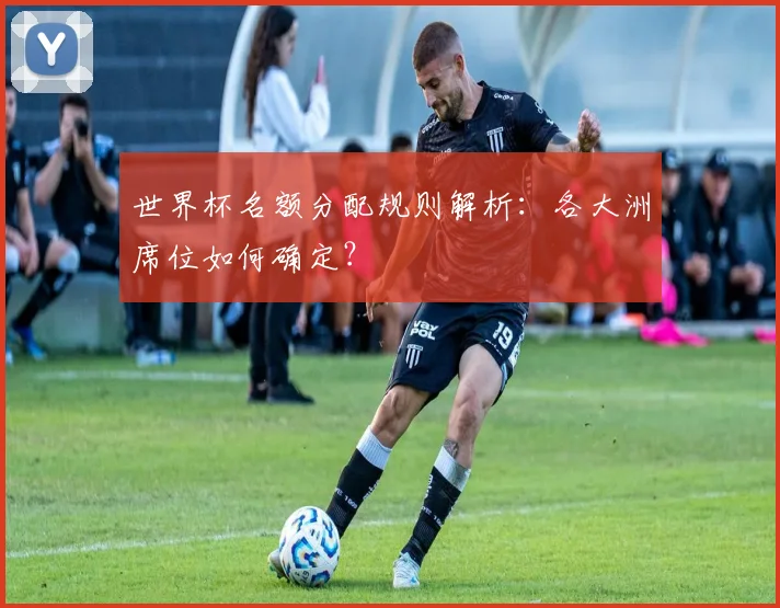 世界杯名额分配规则解析：各大洲席位如何确定？