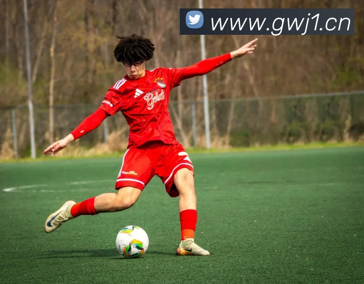 App Interface Preview