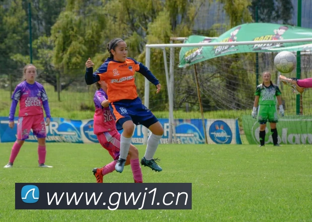 乐竞体育登录方式APP 封面图